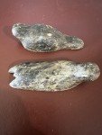 Inuit Soapstone Sea Creature Carving - Signed DIMU