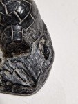 Handmade Canadian Wolf Soapstone Sculpture