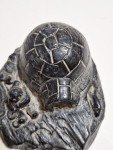 Handmade Canadian Wolf Soapstone Sculpture