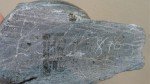 Large Signed Inuit Soapstone Hunting Figurine