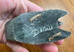Inuit Soapstone Sea Creature Carving - DIMU