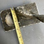 Inuit Hand-Carved Soapstone Whale Trinket Ashtray