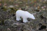 Soapstone Carving Kit: Polar Bear & Penguin