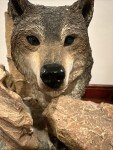 Wolf Sculpture on Wooden Base - 1993 Vintage