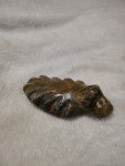 Signed Inuit Soapstone Carving - 4" Long