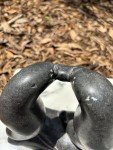 Inuit Soapstone Seals Sculpture – Artist Signed