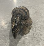Inuit Soapstone Bald Eagle Head Sculpture