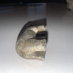 Inuit Soapstone Bear and Horse Carvings