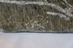 Inuit Soapstone Carving: Eskimo and Seal Art