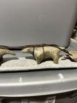 Intuit-Style Soapstone Sled Dogs Carving - Canada