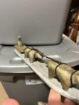 Intuit-Style Soapstone Sled Dogs Carving - Canada