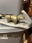 Intuit-Style Soapstone Sled Dogs Carving - Canada