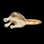 Howling Wolf Soapstone Carving with Glass Eyes