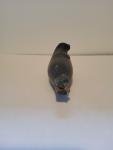 Signed Inuit Soapstone Seal Carving