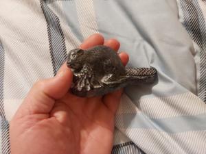 Inuit Soapstone Carving of Beaver by Al Wolf