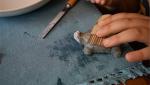DIY Soapstone Carving Kit - Turtle Sculpture