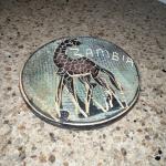 Zambia Wildlife Soapstone Coasters and Holder