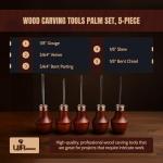 Detailing Soapstone Carving Tools Palm Set, 5 Pieces