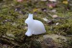 DIY Soapstone Carving Kit - Arctic Hare Sculpture