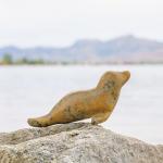 Soapstone Seal Carving Kit for All Ages