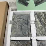 Bob Bottge Soapstone Carving Kit Essentials