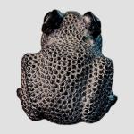 Original Soapstone Frog Sculpture – 2.75" Long