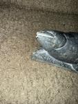 Vtg Signed Canada Eskimo Art Inuit Sculpture Carved Soapstone Tribal Art Fish