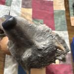 Wolf Song Soapstone Sculpture Limited Edition 52/2500