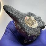 Soapstone Wolf and Raccoon Vintage Sculptures