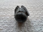 Inuit Soapstone Resting Duck Figurine Sculpture