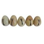Set of 5 Hand Carved Soapstone Safari Eggs