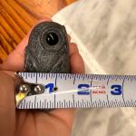 Hand-Carved Black Soapstone Owl with Glass Eyes