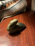 Inuit Soapstone Carving of Arctic Loon