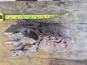 Chinese Soapstone Carvings Collection