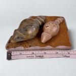 Soapstone Raccoon Pair - Hand Carved Art