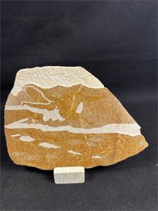 8-Inch Canadian Soapstone Gator or Sea Monster