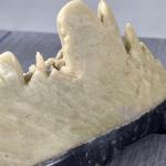 Hand Carved Vintage Soapstone Landscape Scene