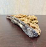 Chinese Soapstone Carving of Grapes Vine