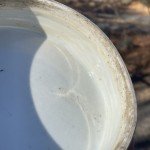 Antique Chinese Blue & White Porcelain Jar Lid