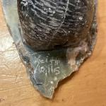 Inuit Soapstone Bear Sculpture - 4” x 3”