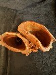 Chinese Soapstone Double Vase with Flower Carvings