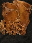 Chinese Soapstone Double Vase with Flower Carvings