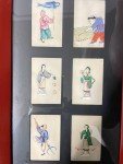 Framed Qing Dynasty Chinese Paintings on Pith Paper