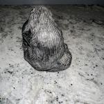Soapstone Carved Wolf Sculpture - Canadian Art