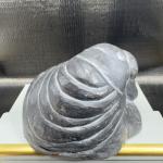 Inuit Soapstone Walrus Figurine from Alaska