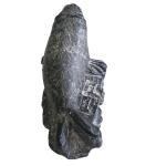 Wolf Soapstone Sea Lion Carving - Handmade Art