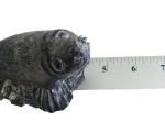 Wolf Soapstone Sea Lion Carving - Handmade Art