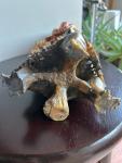 12" Vintage Chinese Soapstone Flower Vase