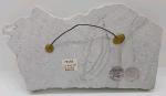 Inuit Carved Soapstone Bear Wall Hanging 8"x4.5