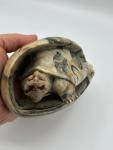 Soapstone Turtle Tortoise Sculpture – Handcrafted Art